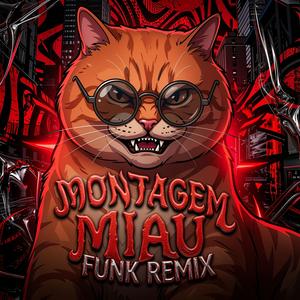 MONTAGEM MIAU FUNK (Ultra Slowed)