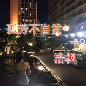 你走以后 (DJ版)