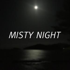 Misty Night