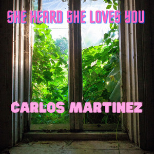 She Heard She Loves You