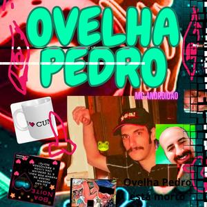 Ligação interurbana intra espacial astral pós vitalicio de Ovelha Pedrismo zoroafirmativo astral (feat. Ovelha Pedro) (Explicit)