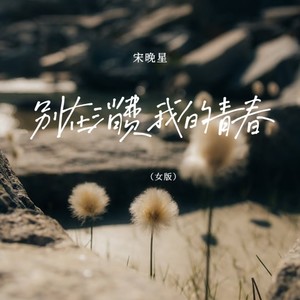 别在消费我的青春 (女版伴奏)