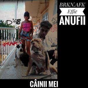 Câinii mei (feat. Brkn.afk) [Explicit]