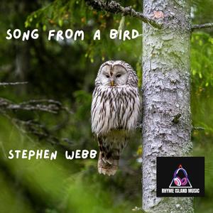 SONG FROM A BIRD