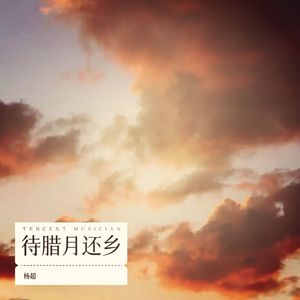 待腊月还乡 (伴奏)