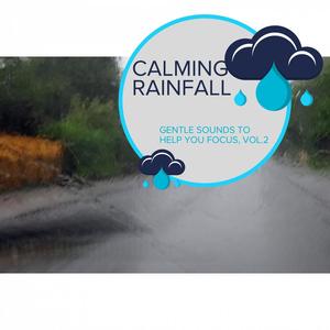 Calming Rainfall - Gentle Sounds to Help You Focus, Vol.2