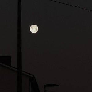 Moon