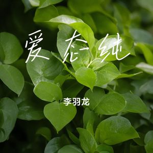 爱态纯