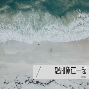 想和你在一起 (伴奏)