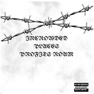 Incrowded Places Profits Roam, Vol. 1 (Explicit)