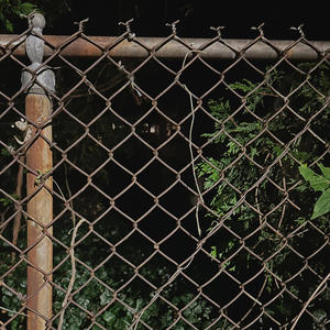 FENCES (Explicit)