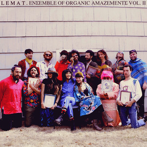 Ensemble of Organic Amazements Vol. II