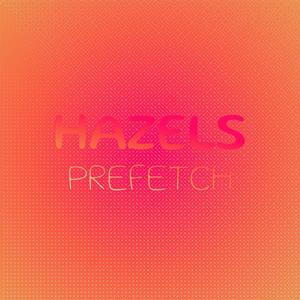 Hazels Prefetch