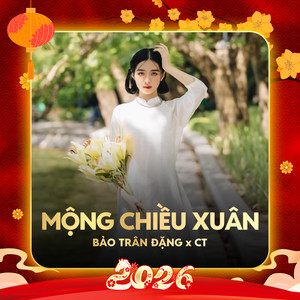 Mộng Chiều Xuân (Remix)