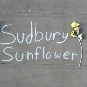 Sudbury Sunflower (feat. Sam Reyne)