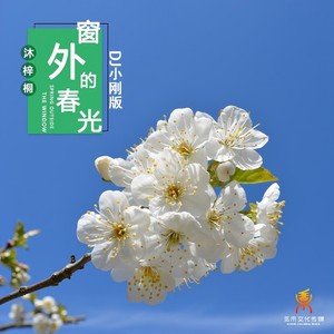 窗外的春光 (DJ小刚版伴奏)