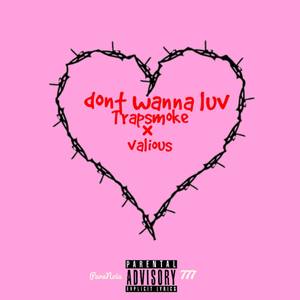 don't wanna luv (Explicit)