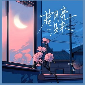 王宇宙Leto - 若月亮没来 (DJ铁柱)