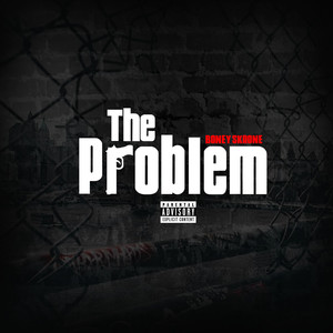 The Problem (Explicit)