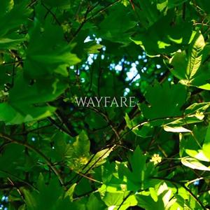 WAYFARE