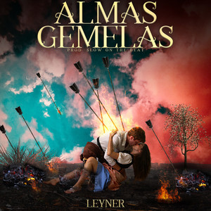 Almas Gemelas