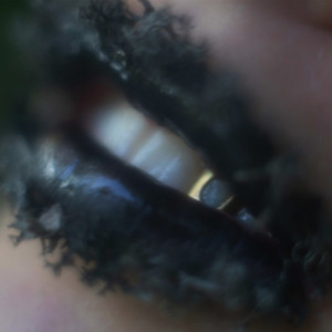 Parody of Crime (Explicit)