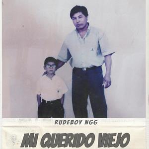 Mi querido viejo