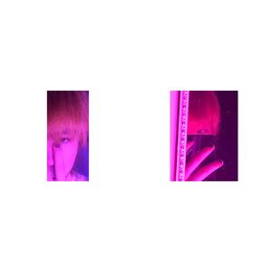 Suicide,never die :)