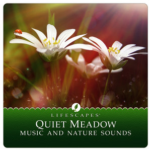 Quiet Meadow