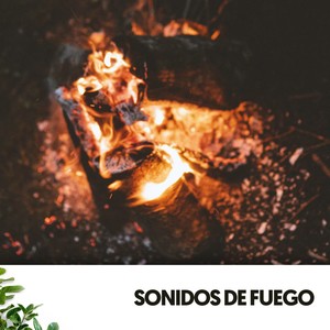 Sonidos de Fuego: Melodías ardientes en la noche