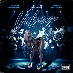 Vibey(Turn Me On) (feat. Poppa Hatchett) [Explicit]