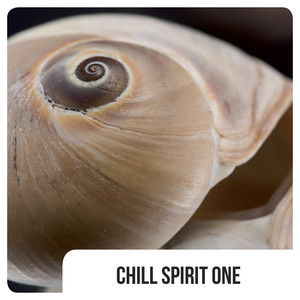 Chill Spirit One