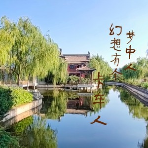 幻想有个梦中人DJ (伴奏)