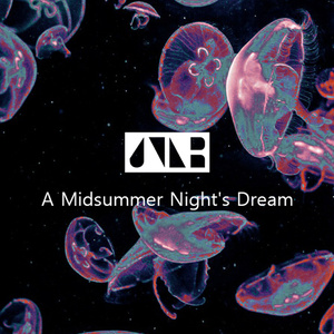 A Midsummer Night's Dream