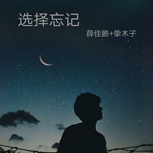 辞九门回忆-小鹏鹏&挚木子