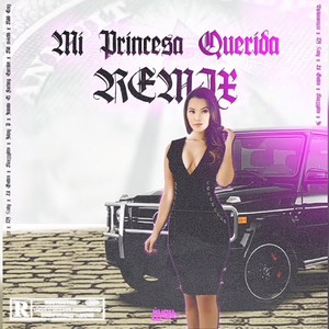 Mi Princesa Querida (Remix) [Explicit]