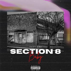 Section 8 Baby (Explicit)