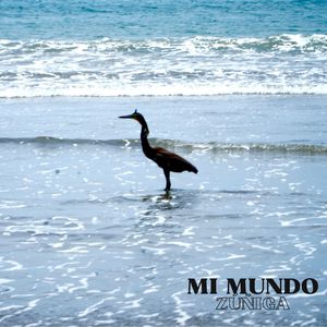 Mi Mundo