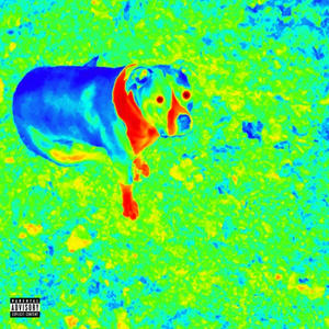 BEWARE OF DOGS (Explicit)