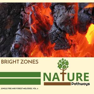 Bright Zones - Jungle Fire and Forest Melodies, Vol. 6