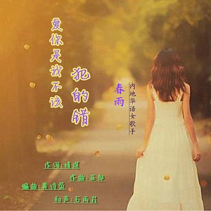 爱你是我不该犯的错 (伴奏)