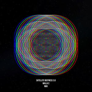 SATELLITE BUSYNESS 3.0 RMX