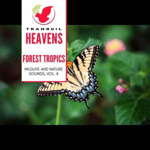 Forest Tropics - Wildlife and Nature Sounds, Vol. 4