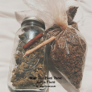 What The Blunt Prove (Explicit)