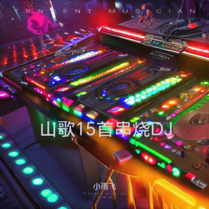 云南山歌15首串烧DJ