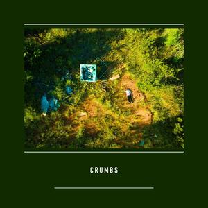 Crumbs(feat. Ian Underwater & Avitiuh) (Explicit)