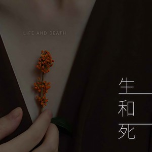 生和死 (男声版)
