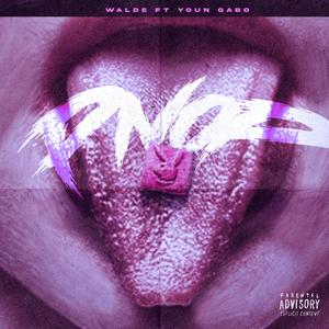 PNOP (feat. YOUNG GABO) (Explicit)