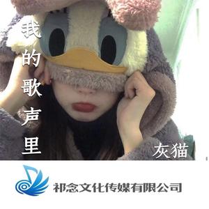我的歌声里 (DJ版)
