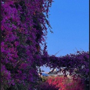 心愿便利贴-阳之忻